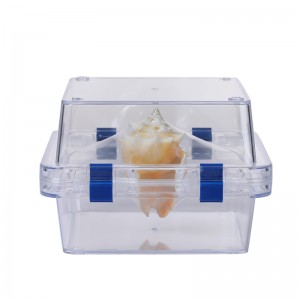 2019 wholesale price China 2016 Creative Factory Direct Sale ABS+Pet Film 3D Membrane Box