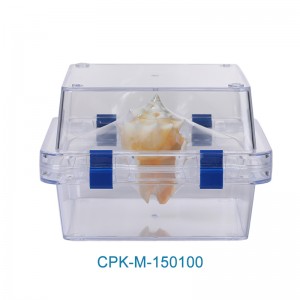 Denture Box with Membrane CPK-M-150100