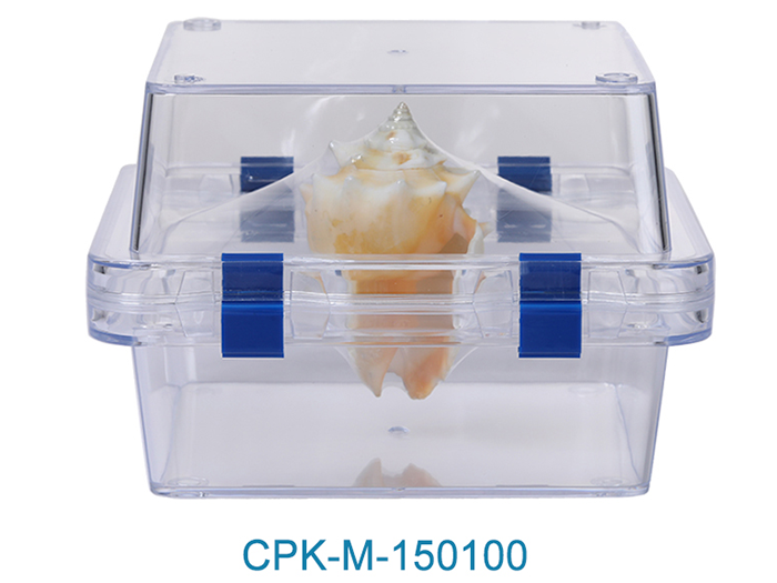 denture box-CPK-M-150100 (5)